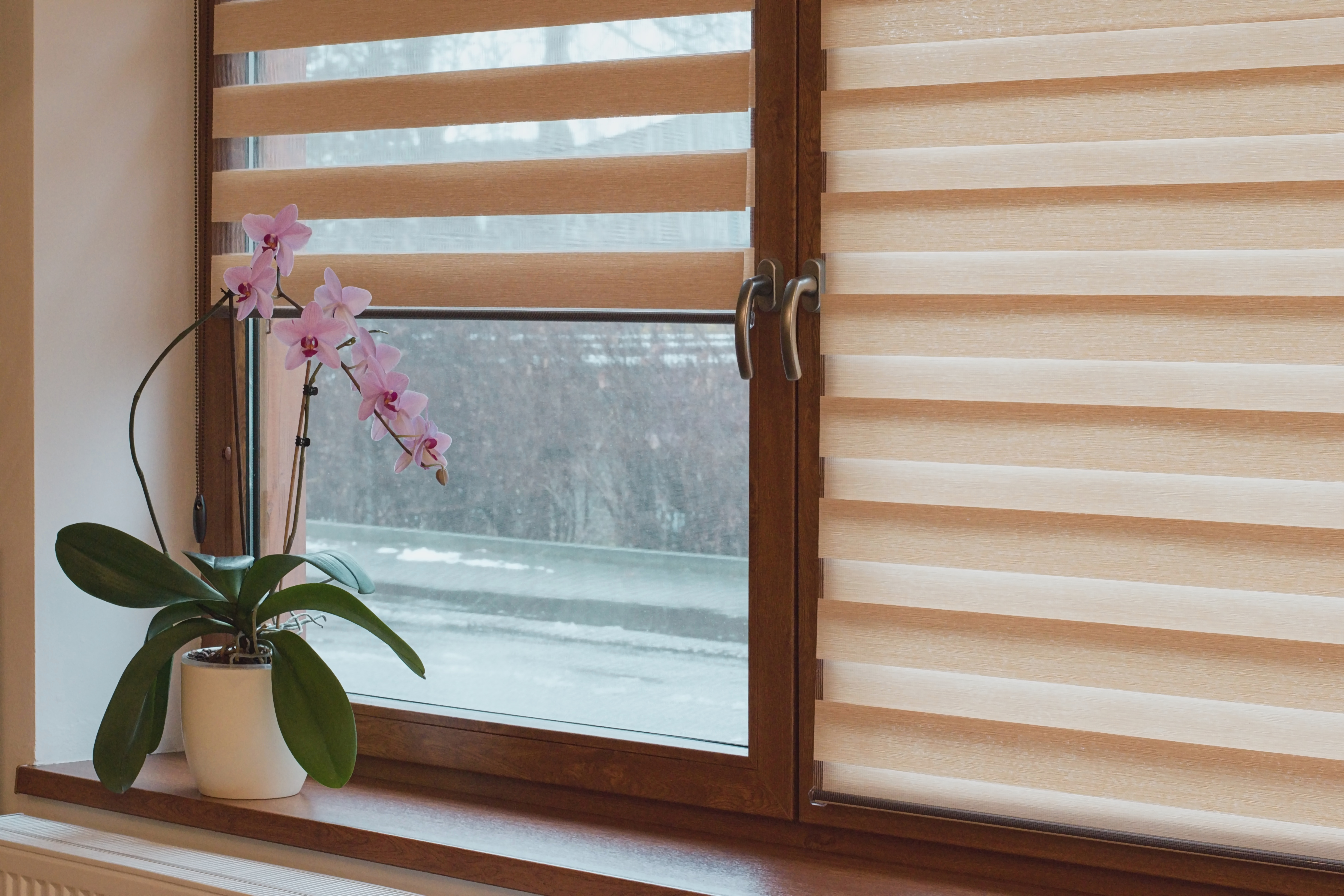 COMBI BLINDS